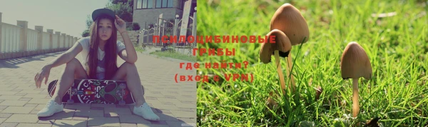дурь Абаза
